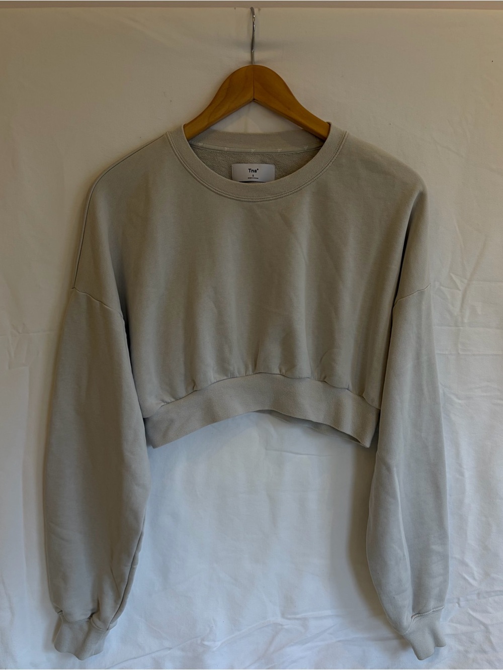 Aritzia TNA Light Grey Cropped Crewneck Sweatshirt